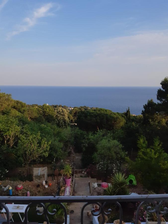 Haut De Villa Au Mont St Clair Vue Exceptionnelle Mer Et Foret Terrasses, Piscine, Petanque, Solarium Prives 塞特港 外观 照片
