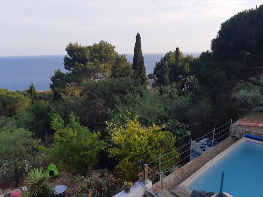 Haut De Villa Au Mont St Clair Vue Exceptionnelle Mer Et Foret Terrasses, Piscine, Petanque, Solarium Prives 塞特港 外观 照片