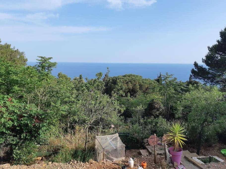 Haut De Villa Au Mont St Clair Vue Exceptionnelle Mer Et Foret Terrasses, Piscine, Petanque, Solarium Prives 塞特港 外观 照片